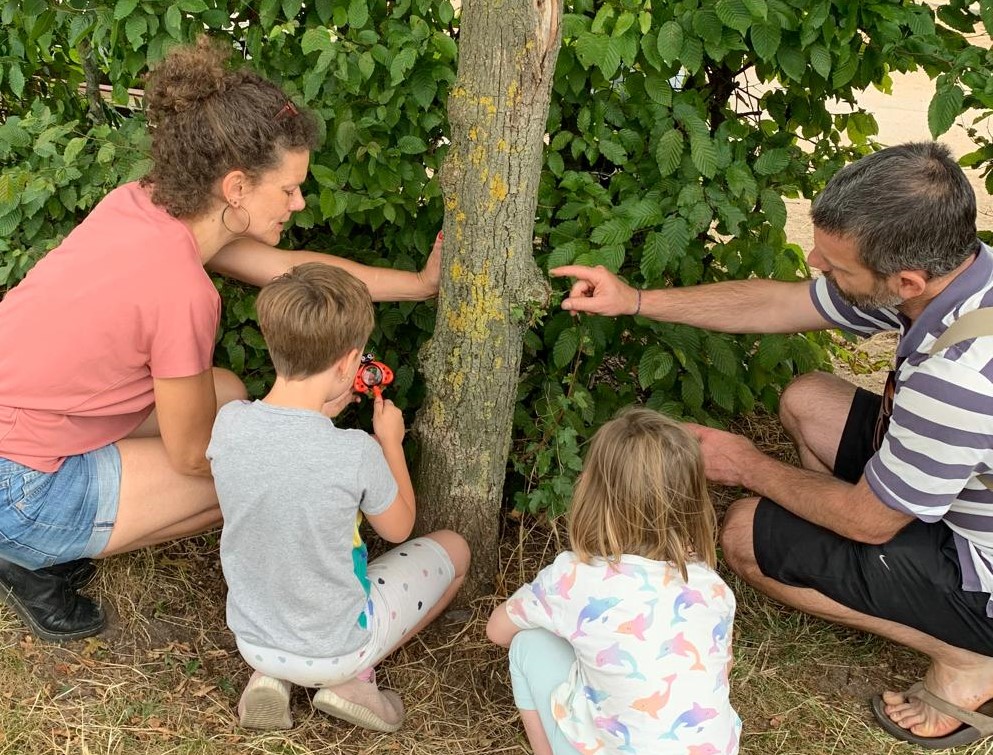 Erwachsene und Kinder untersuchen die Rinde eine Baumes